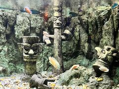 -北海海底世界