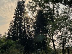 -东莞植物园
