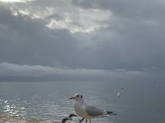 -大理洱海