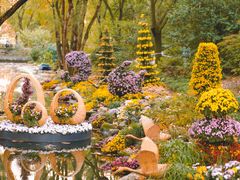 -上海共青森林公园