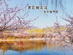 -国家植物园