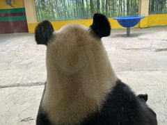 -杭州野生动物世界