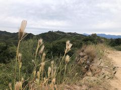 -蟠龙山长城景区
