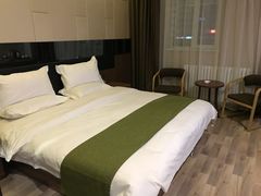 -新加坡乌节希尔顿酒店 (SG Clean)