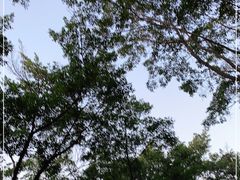 -广州长隆飞鸟乐园