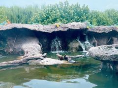 -北京野生动物园