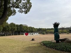 -华东政法大学(松江校区)