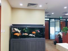 -北京市中润律师事务所