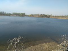 -东郊湿地公园
