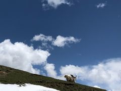 -日月山景区