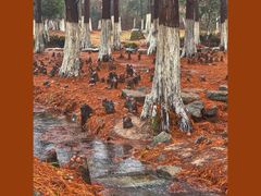 -南京市无想山景区