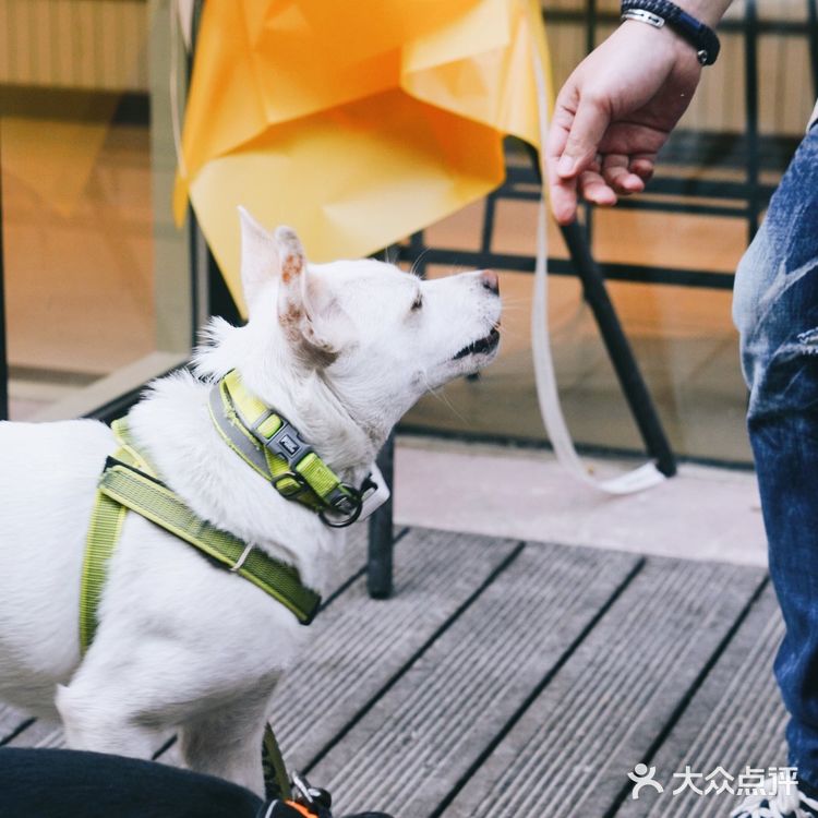 神秘的星巴克早餐佛卡恰,你吃过吗?