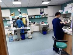 -奈斯宠物医院·核磁CT·异宠专科·内镜(中南店)