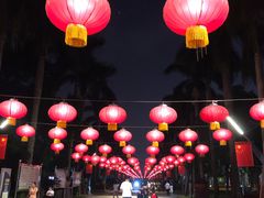-万绿园