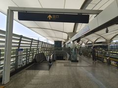 -外高桥保税区南(地铁站)