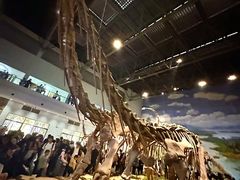 -自贡恐龙博物馆