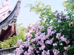 -姐夫的小菜(新中关购物中心店)