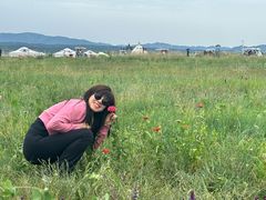 -敕勒川草原