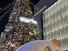 -东莞松山湖万象汇