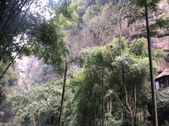 -川西竹海景区
