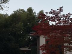 -星巴克(西湖天地店)