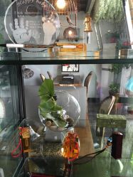 点击看大图 -美年亲子儿童摄影(合肥市滨湖新区金泉小区店)