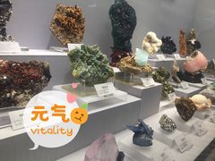 -湖南省地质博物馆