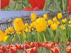 -白沙门生态公园