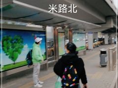 -北京观赏动物医院·24小时大型综合·猫专科·异宠专科