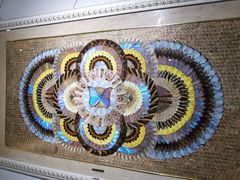 -上海昆虫博物馆