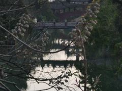 -三垟湿地