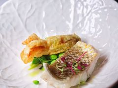 -蝶舍·MAISON PAPILLON