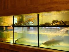 水产区-许家菜(望江店)