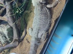 -梦幻海洋王国(吾悦广场张家港店)