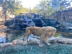 -北京野生动物园