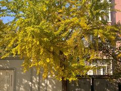 -首义路(地铁站)