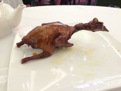 picture-稻香酒家·33年老字号·港式粤菜(富邦中心店)