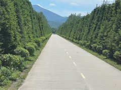 -凤凰山国家森林公园