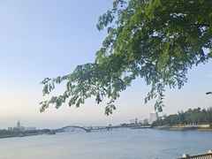 -五缘湾湿地公园