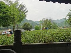 -听风阁农家私房菜茶楼(龙坞店)