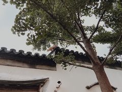 -bluefrog蓝蛙(水游城店)