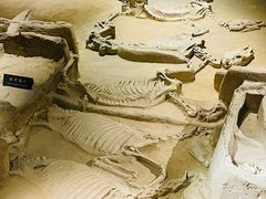 -洛阳周王城天子驾六博物馆