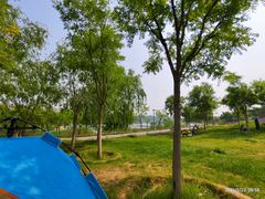 -马家湾湿地公园