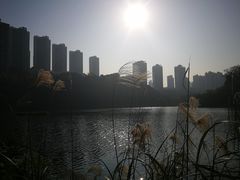 -重庆彩云湖湿地公园