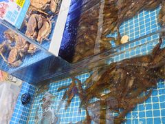 -大锅强·蒸海鲜青岛菜(吾悦广场店)