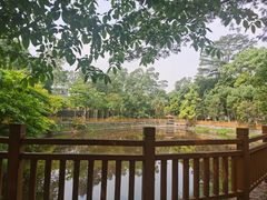 -大屏嶂森林公园