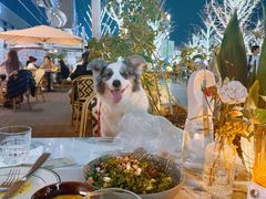 -Grande A'moo(上海万象城店)