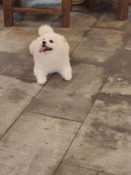 -坤如玛丽·医疗美容中心