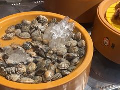 -龍歌自助小火锅(崂山丽达店)