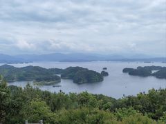 -浔味·山屿湖·正宗全鱼宴老字号